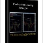 Professional Trading Strategies