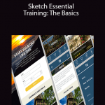 Sketch Essential Training: The Basics