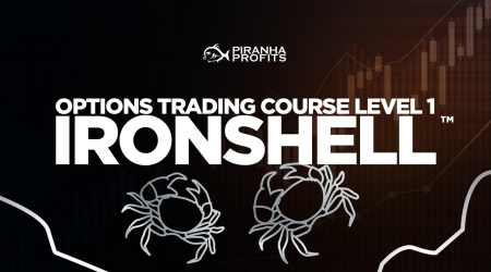 Adam Khoo - Options Trading Course Level 1: Options IronShell