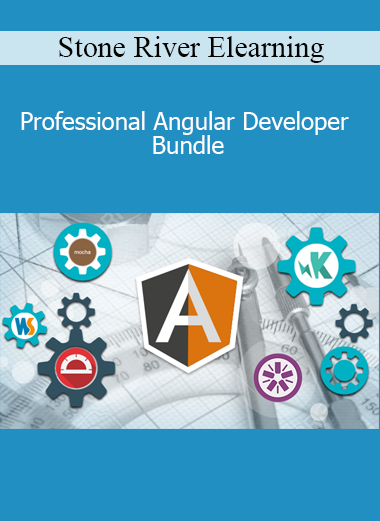 Stone River Elearning - Professional Angular Developer Bundle