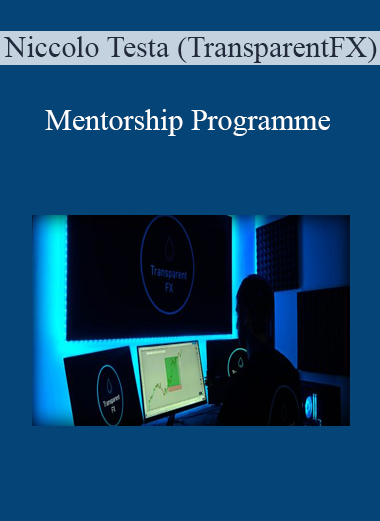 Niccolo Testa (TransparentFX) - Mentorship Programme