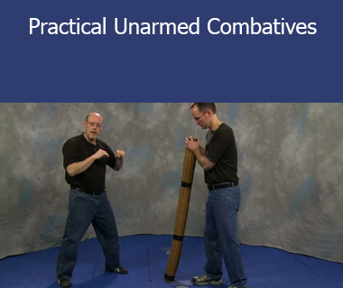 Michael Janich- Practical Unarmed Combatives