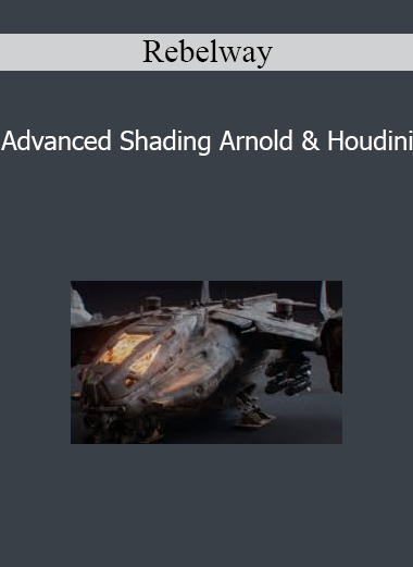 Rebelway - Advanced Shading Arnold & Houdini