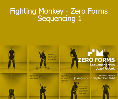Jozef Frucek - Fighting Monkey - Zero Forms Sequencing 1